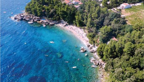 Apartment Ston With Sea View Iv - Photo 4