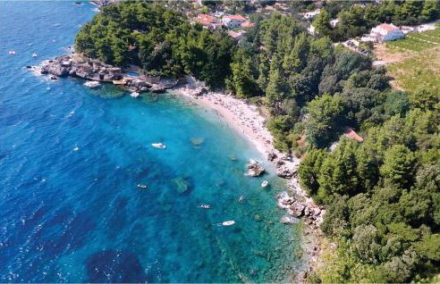 Apartment Ston With Sea View Iv - Foto 4