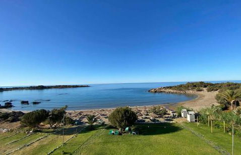 Houmas Apartments - Photo 34