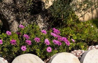 Gustav Retreat Villa - Foto 35