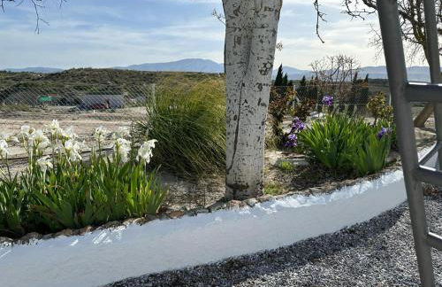 Alojamientos CUEVAS TIANA - Photo 9