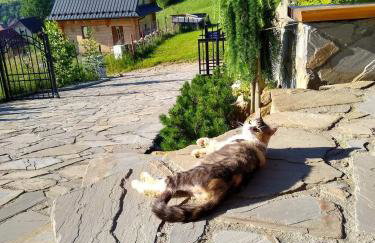 Apartamenty Na Brzegu Szczawnica - Photo 43