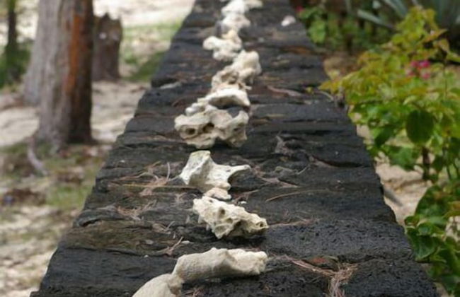 Thalassa Residence - Photo 16