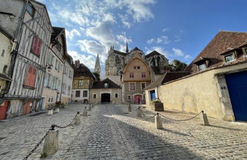 Le Pigeonnier centre historique Auxerre - Foto 52