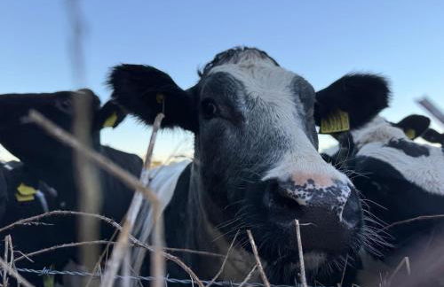 3 Bedroom Pembrokeshire Cottage - Beaches, Coastal path walks, Castles nearby - Foto 13