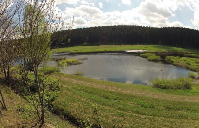 Doppelhaushaelfte in Hasselfelde - Foto 25