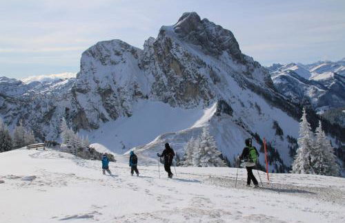 Ferienwohnungen Wolf - zentral in Pfronten mit Panorama-Alpenblick und ruhiger Lage - Foto 40