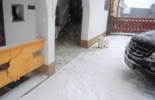 Miedzy Owcami Meeee - Foto 35