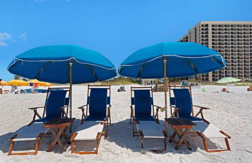 Silver Dunes D204 Surfin on Sunshine - Foto 6