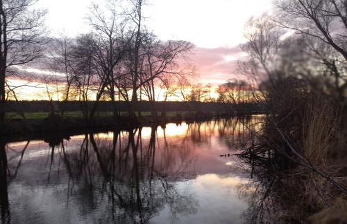 Hof Schwericke - Foto 11