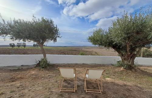 Canto da Planície - Foto 48