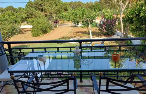 Sofia's Yard House - Foto 54