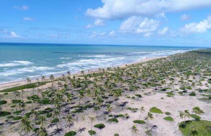 Apartamento 3 Quartos Tree Bies Resort Subauma - Foto 16