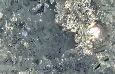 Nattersbergalm - Foto 58