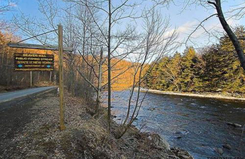 Catskills Lakefront with Hot Tub, Sauna and Theater - Foto 23