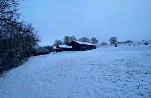 Hollybush Lodges - Foto 69