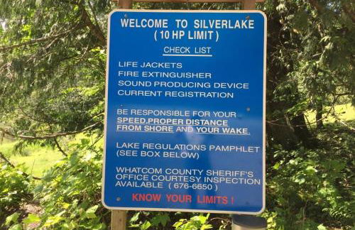 Silver Lake #67 - Foto 42