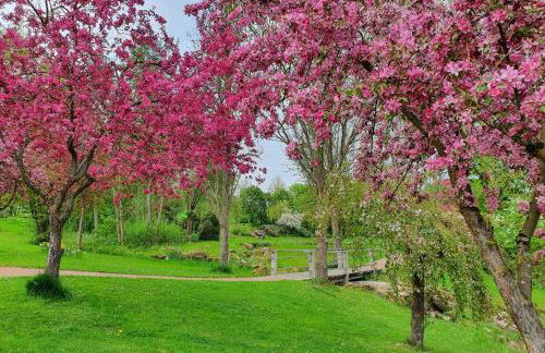 Kleinod am Kurpark - Foto 6