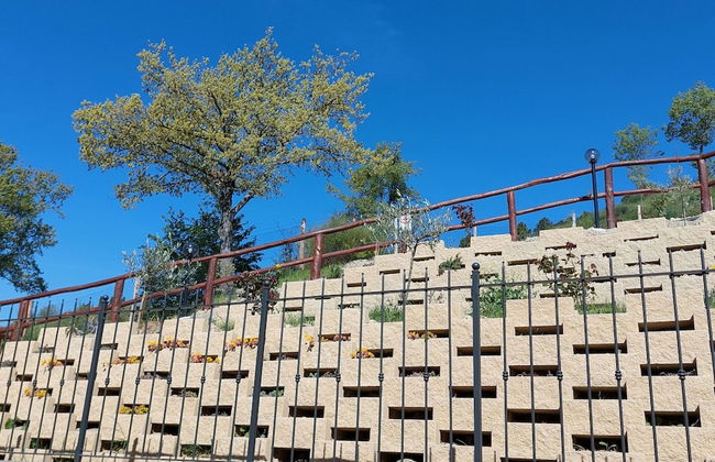 Belvilla by OYO Poggio Marino - Photo 32