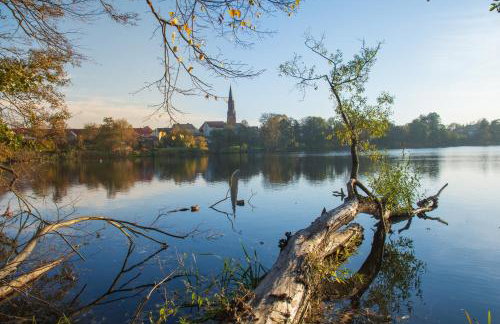Całoroczny Domek Hampton Lubniewice, jezioro, jacuzzi - Foto 56