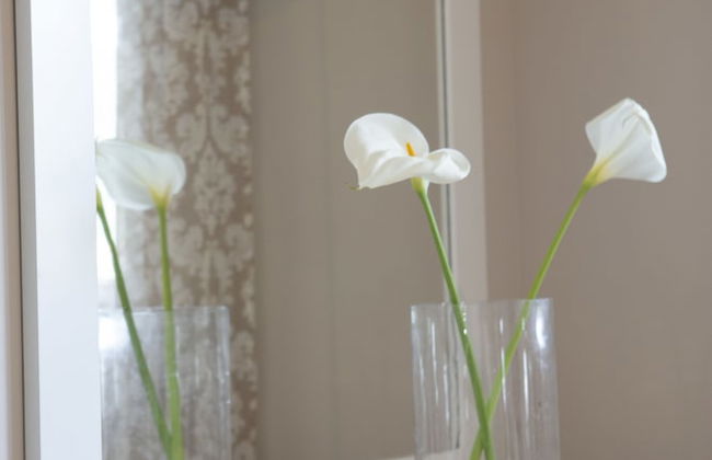 Captain Nick - Foto 52