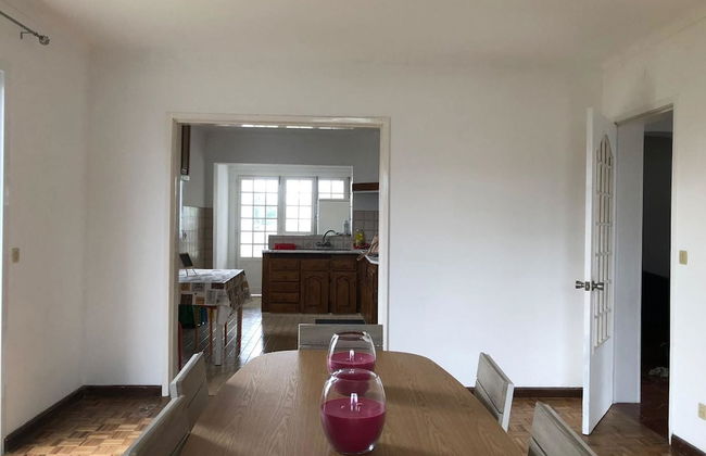 House With 2 Bedrooms in Pico da Pedra, With Wonderful sea View and Enclosed Garden Near the Beach - Foto 16