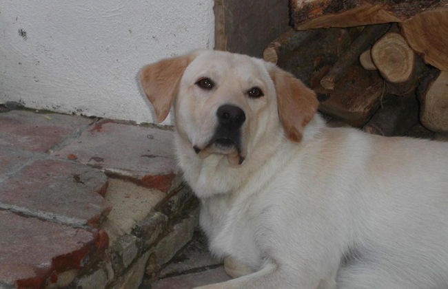 Locanda La Rosa - Foto 30