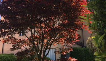 Appartamento rosada - Foto 2, Garden