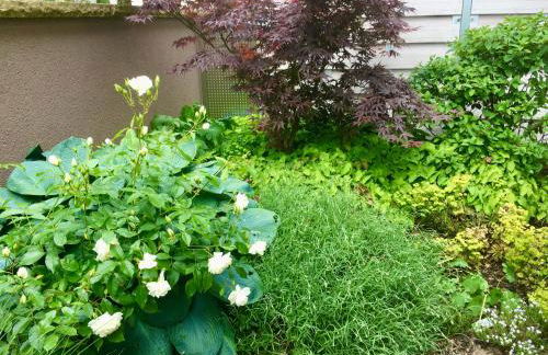 Weinreisedomizil mit eigenem Garten und Parkplatz - Foto 17