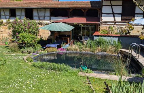 Apartment Haselbach 6 by Interhome - Foto 13