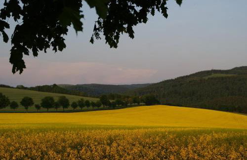Ferienhaus in Rechenberg-bienemuehle - Foto 36
