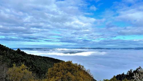 Pera da Serra - Turismo no Espaço Rural - Foto 4