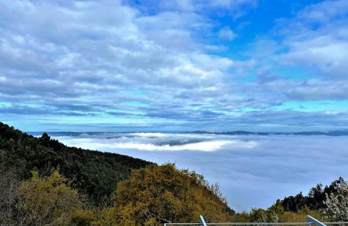 Pera da Serra - Turismo no Espaço Rural - Foto 4