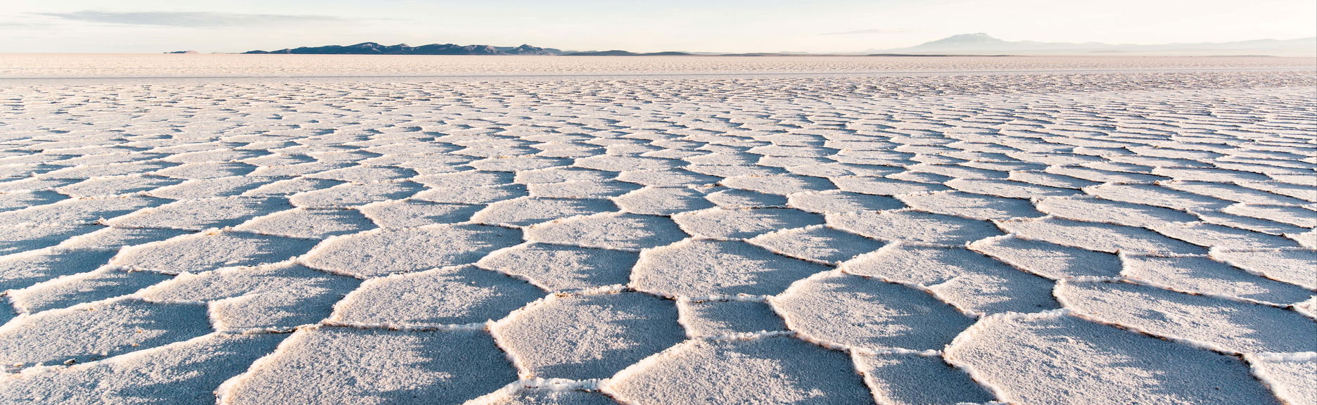 Salar de Uyuni Full Day Trip - Foto 1