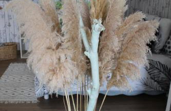 Gîte La Tchoupetta - Foto 11