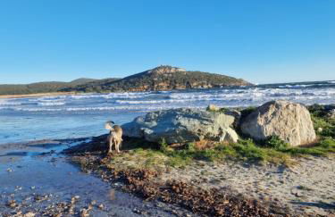 Appartement a 2 pas de la plage - Foto 21