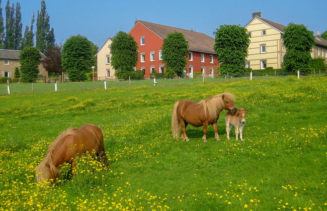 Bungalowpark Landsrade - Foto 24