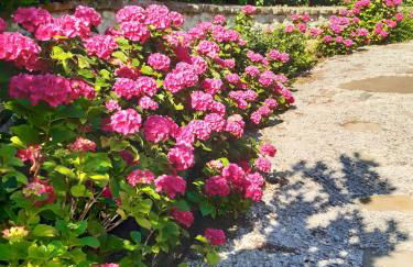 Villa La Moraiola - Foto 47