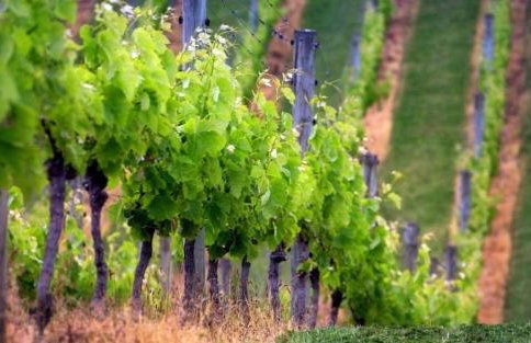 Holiday home Ema - Foto 53