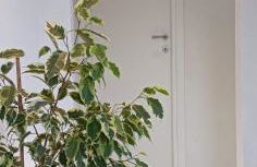 La casina Versilia - Photo 20