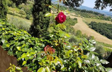 Il Leccio - Casa Toscana San Gimignano - Foto 20