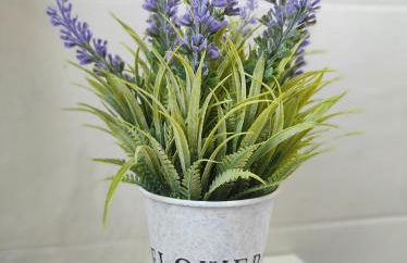 La casa di Nina Metro A e Aeroporto - Foto 15