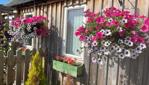 Courtyard Bothy - Foto 3