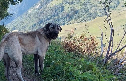 Superbe appartement au centre de St Jorioz - Photo 23