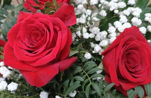 L Entre Deux Époques - Foto 62