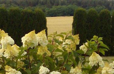 Dom Wakacyjny Quattro Niesulice - Foto 36