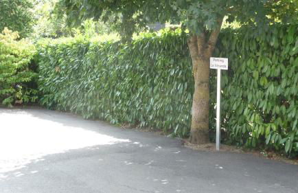 "LA VERANDA" Gîte - Foto 14