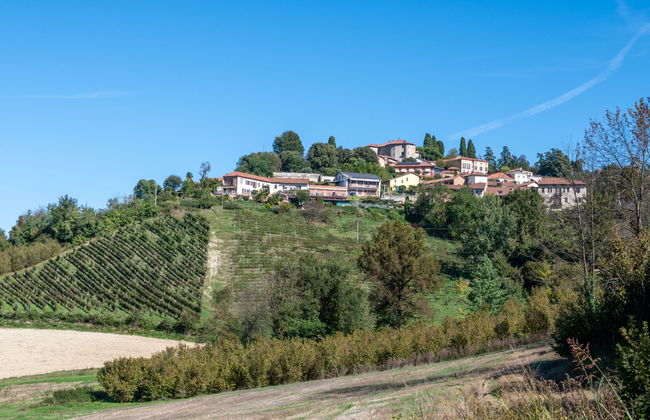 Margherita - Foto 37