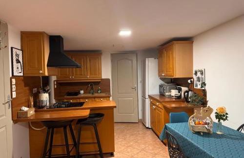 Gîte urbain au calme en rez de jardin proche Groupama stadium salle Arena EUREXPO Lyon - Foto 10