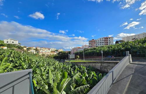 Autonomia House I - Photo 11